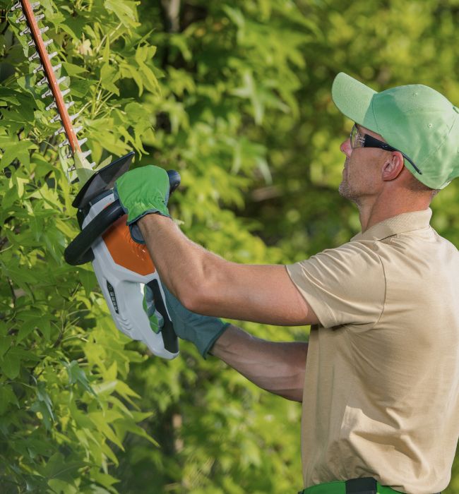 mantenimiento jardines marbella